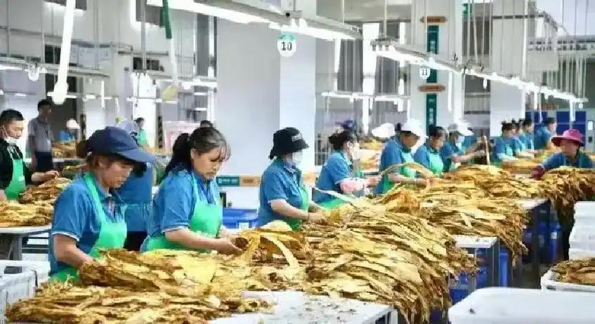 多家美媒:华盛顿奇才已经通知迪班萨会用状元签选中他