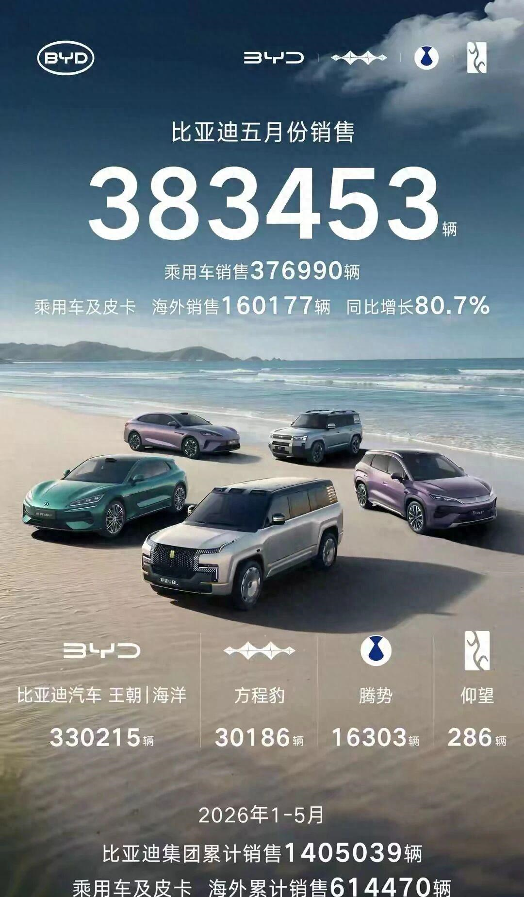 武切维奇计划在NBA结束职业生涯