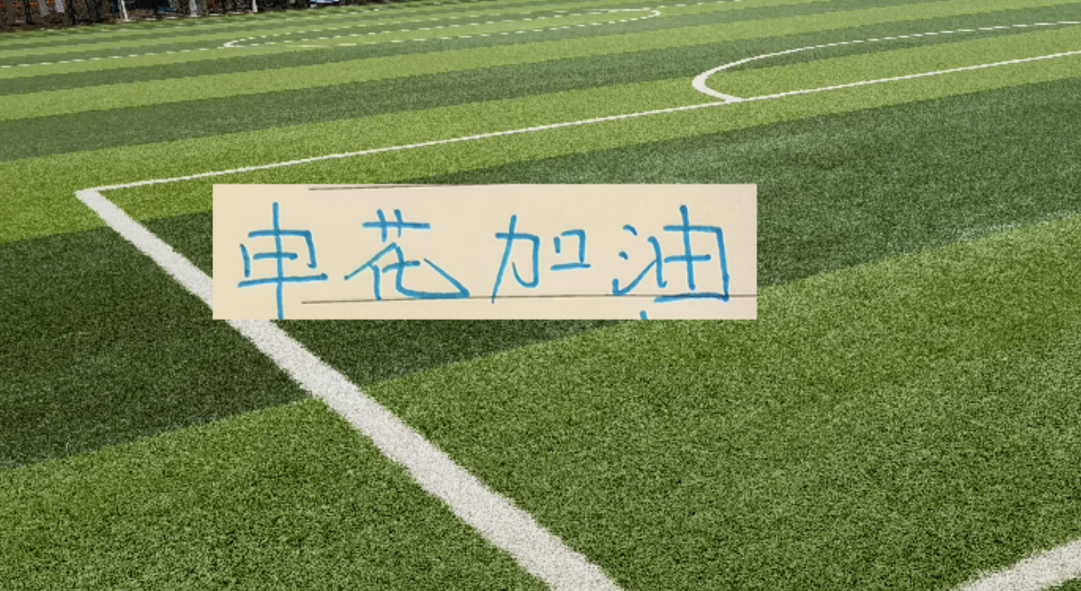【世界杯】卢卡库登场23秒造乌龙,比利时1比1埃及